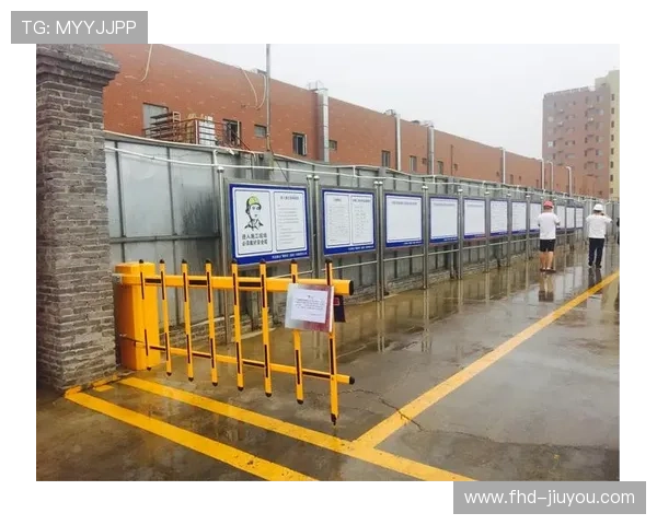 赛事安全文化指数发布 引导公众监督参与